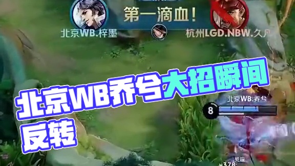 的应对策略 的应对策略